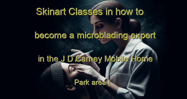 Skinart Classes in how to become a microblading expert in the J D Carney Mobile Home Park area | MicrobladingTraining | MicrobladingClasses | SkinartTraining-United States